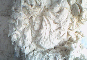 Waste of White Cotton 1st [ MTL - Lusogomma ]