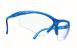 Msa-010-45642 Perspecta Protection glasses [ MTL - Lusogomma ]
